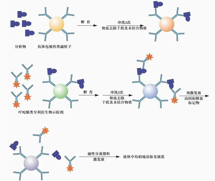 化學(xué)發(fā)光檢測儀的工作流程